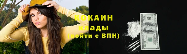 хмурый Алзамай