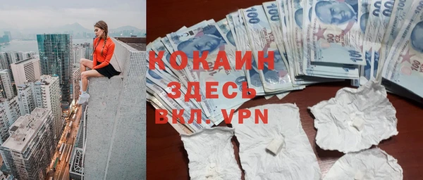 хмурый Алзамай
