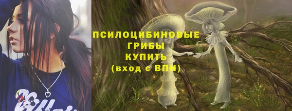 первитин Абинск