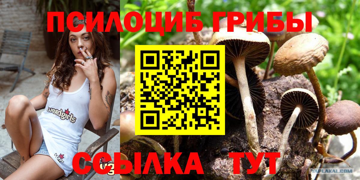 Галлюциногенные грибы Magic Shrooms Тобольск