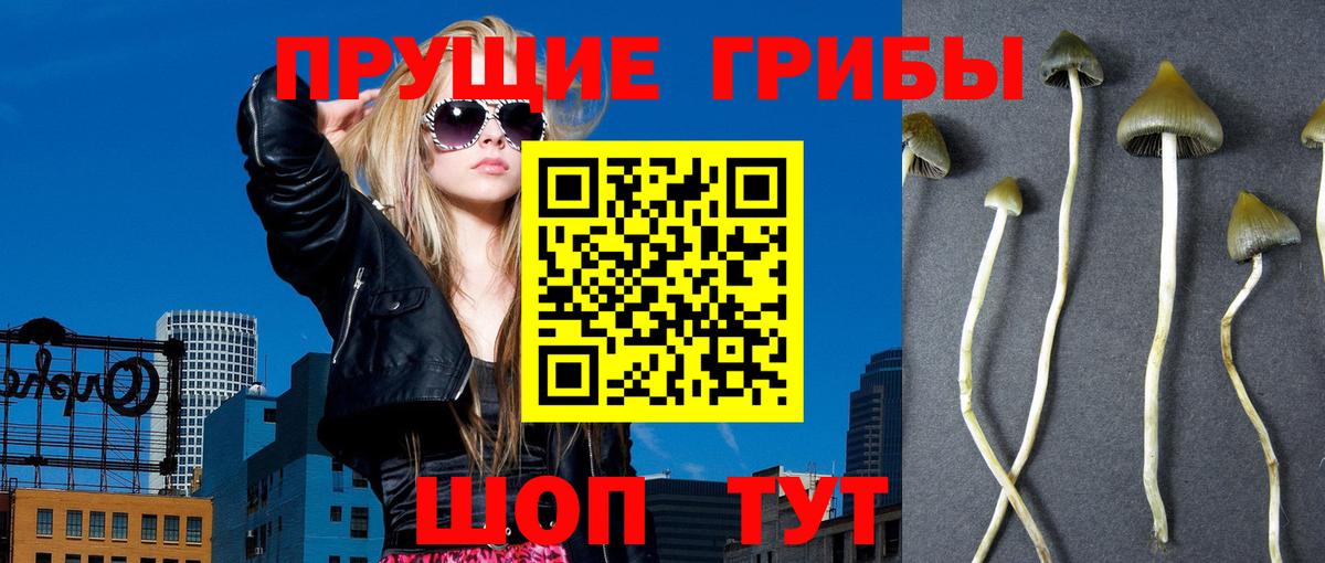 Псилоцибиновые грибы Psilocybe  Вход с VPN  хочу   Галлюциногенные грибы Cubensis  Тобольск 
